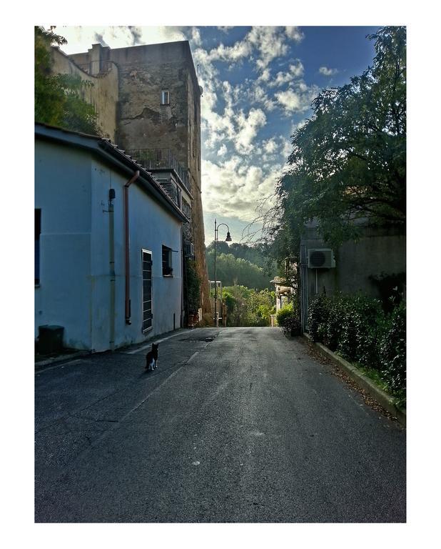 Il Rosciolo Sulla Francigena Apartment Formello Bagian luar foto