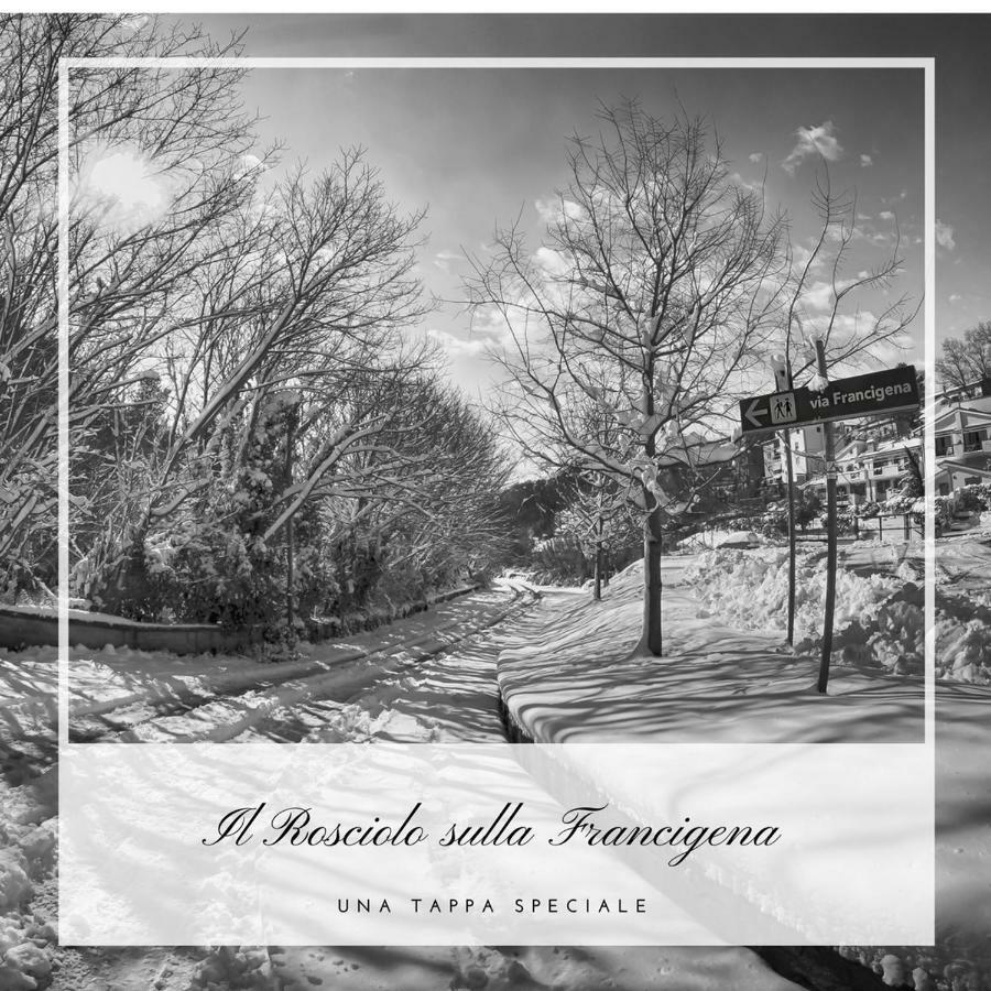 Il Rosciolo Sulla Francigena Apartment Formello Bagian luar foto
